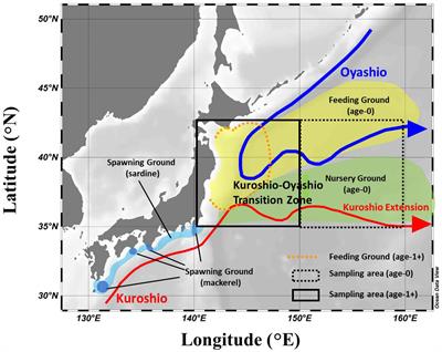 Investigation of inter-annual variation in the feeding habits of Japanese sardine (Sardinops melanostictus) and mackerels (Scomber spp.) in the Western North Pacific based on bulk and amino acid stable isotopes
